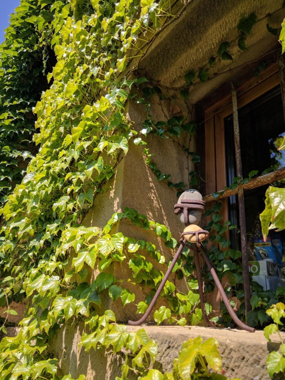 El Corral De Concilio Guest House Екстериор снимка